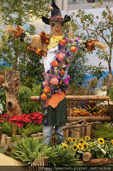 DSC04470.JPG DSC04470.JPG