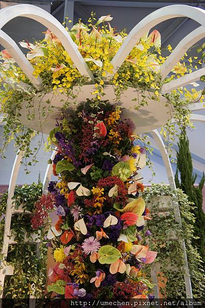 DSC04523.JPG DSC04523.JPG