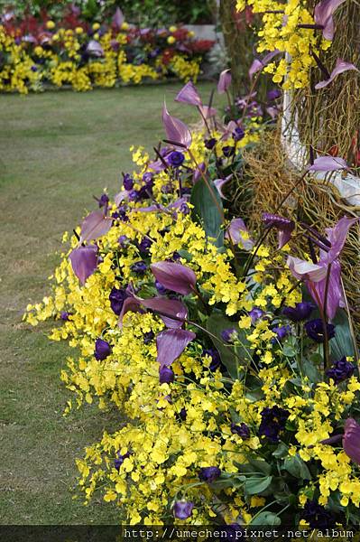 DSC04539.JPG DSC04539.JPG