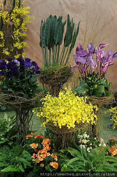 DSC04535.JPG DSC04535.JPG