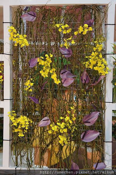 DSC04536.JPG DSC04536.JPG