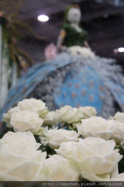 DSC04636.JPG DSC04636.JPG