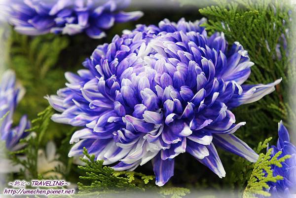 DSC04480.jpg DSC04480.jpg