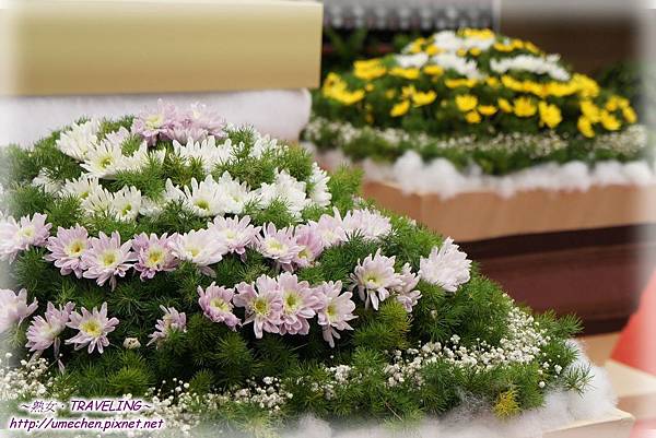 DSC04491.jpg DSC04491.jpg