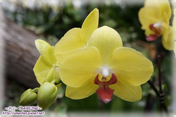 DSC04512.jpg DSC04512.jpg