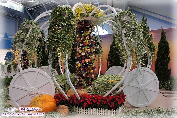 DSC04522.jpg DSC04522.jpg