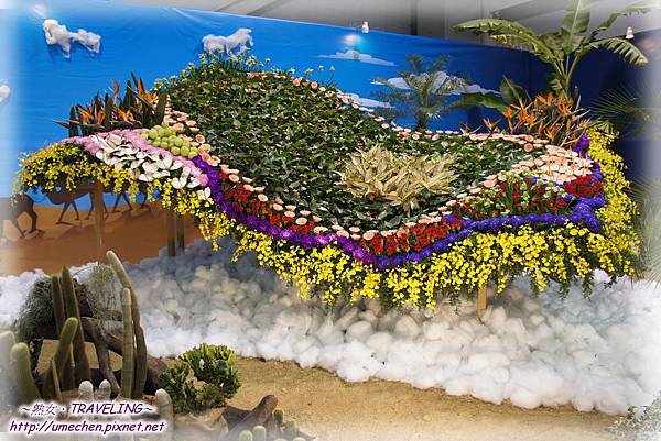 DSC04550.jpg DSC04550.jpg