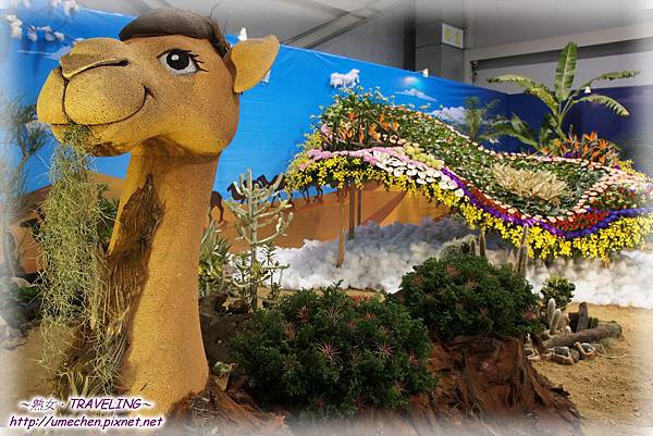 DSC04552.jpg DSC04552.jpg