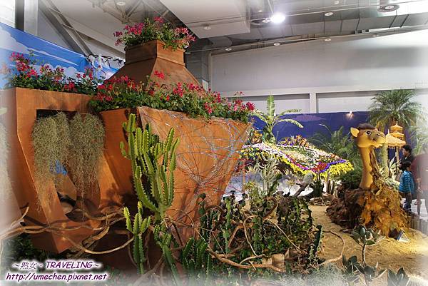 DSC04556.jpg DSC04556.jpg