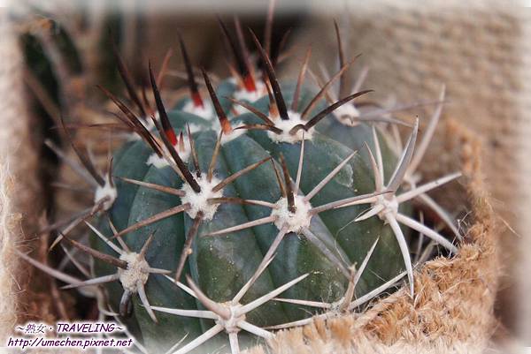 DSC04560.jpg DSC04560.jpg