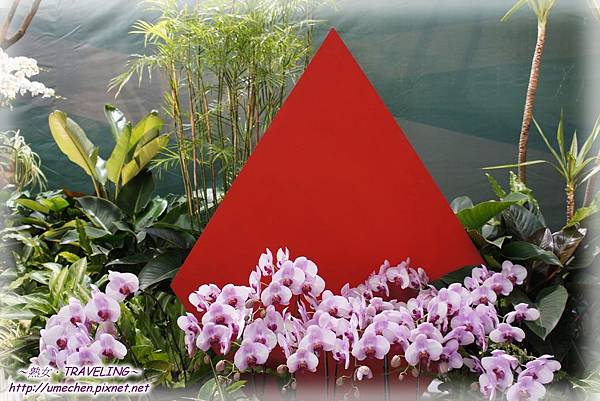 DSC04563.jpg DSC04563.jpg