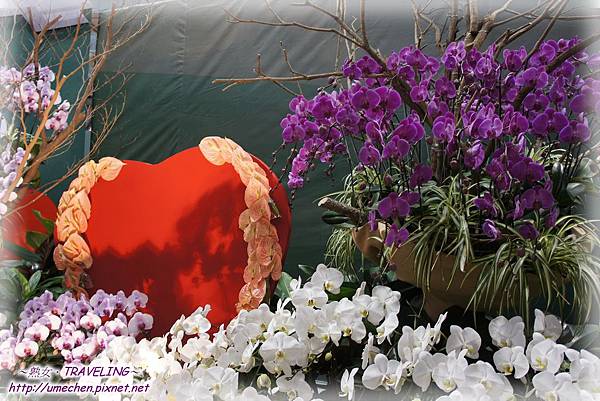 DSC04564.jpg DSC04564.jpg