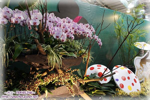 DSC04565.jpg DSC04565.jpg