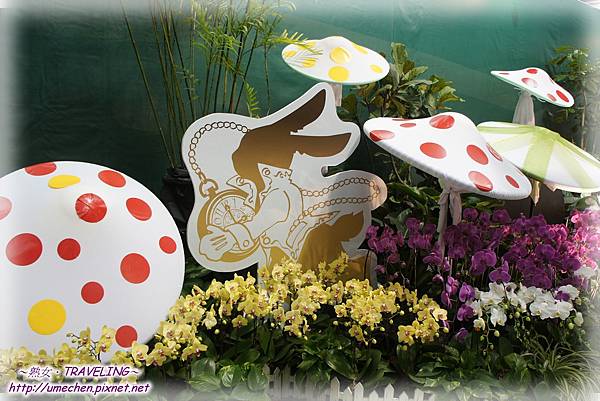 DSC04566.jpg DSC04566.jpg