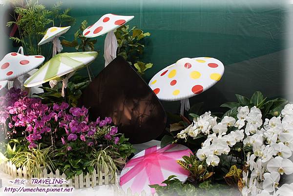 DSC04567.jpg DSC04567.jpg