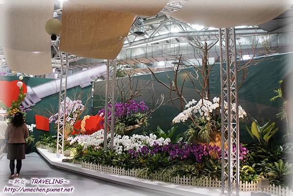 DSC04571.jpg DSC04571.jpg