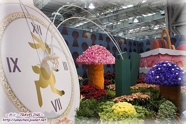 DSC04575.jpg DSC04575.jpg