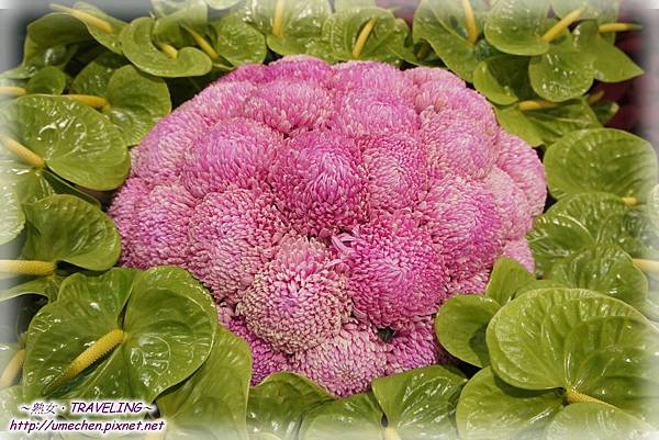 DSC04577.jpg DSC04577.jpg