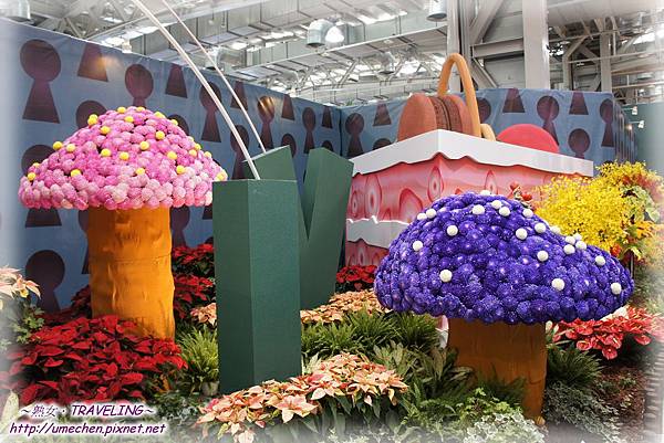 DSC04578.jpg DSC04578.jpg