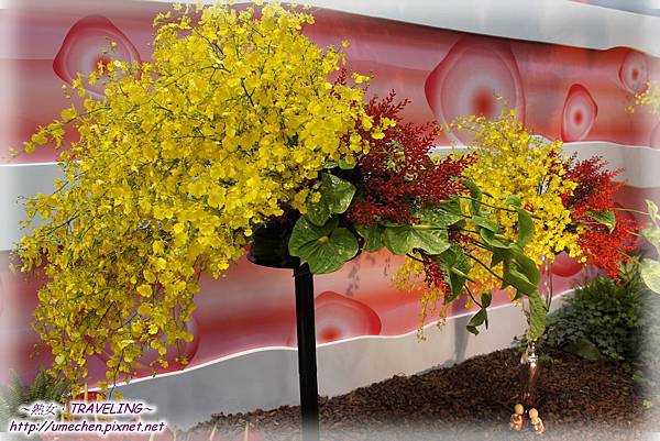 DSC04585.jpg DSC04585.jpg