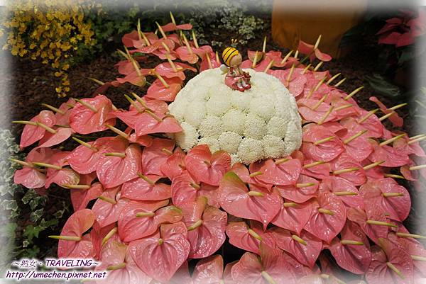 DSC04586.jpg DSC04586.jpg