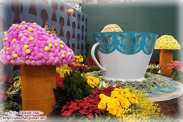 DSC04587.jpg DSC04587.jpg