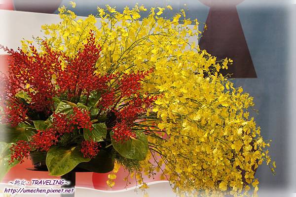 DSC04589.jpg DSC04589.jpg