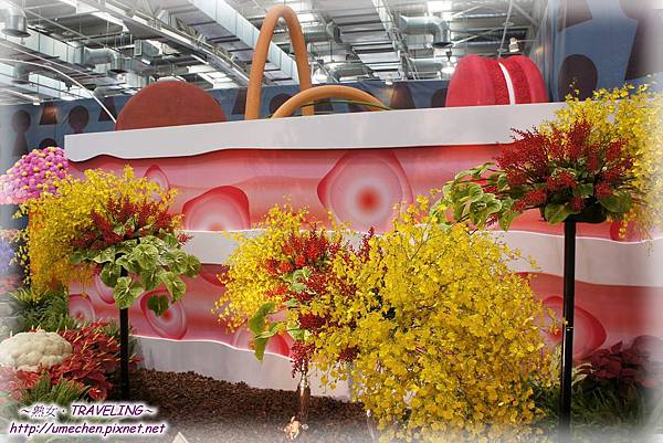 DSC04590.jpg DSC04590.jpg