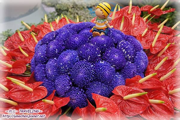 DSC04599.jpg DSC04599.jpg