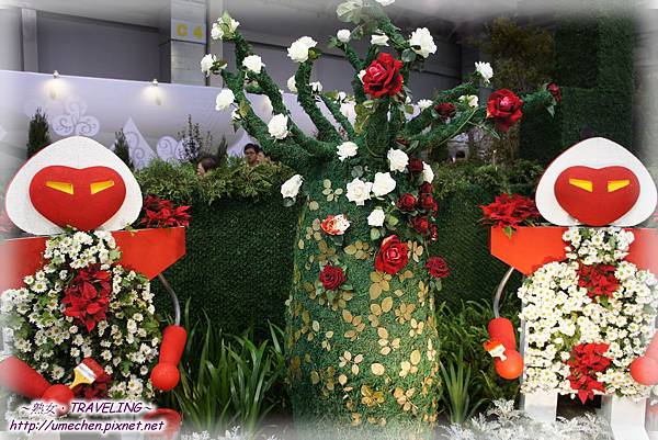 DSC04617.jpg DSC04617.jpg