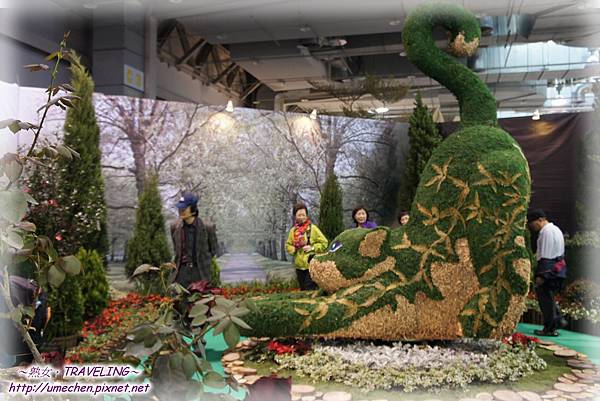 DSC04627.jpg DSC04627.jpg