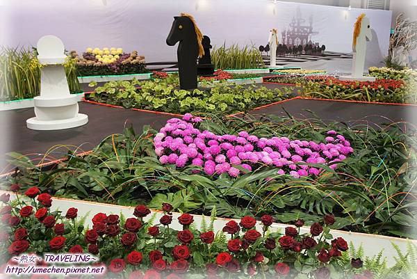 DSC04637.jpg DSC04637.jpg