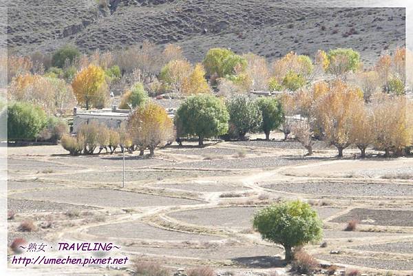 G318-金秋 (43).jpg G318-金秋 (43).jpg