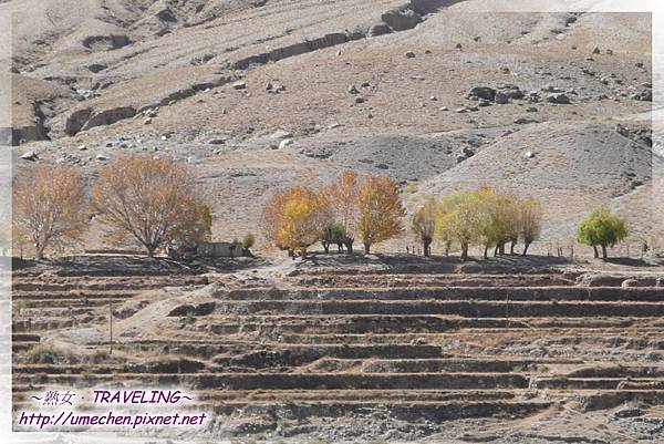 G318-金秋 (7).jpg G318-金秋 (7).jpg