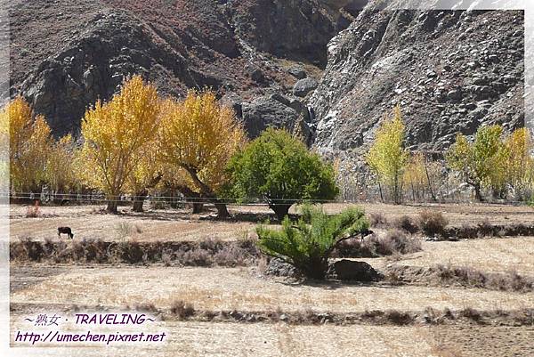 G318-金秋 (29).jpg G318-金秋 (29).jpg