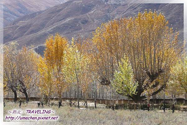 G318-金秋 (36).jpg G318-金秋 (36).jpg