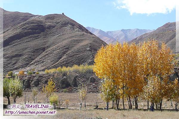 G318-金秋 (39).jpg G318-金秋 (39).jpg