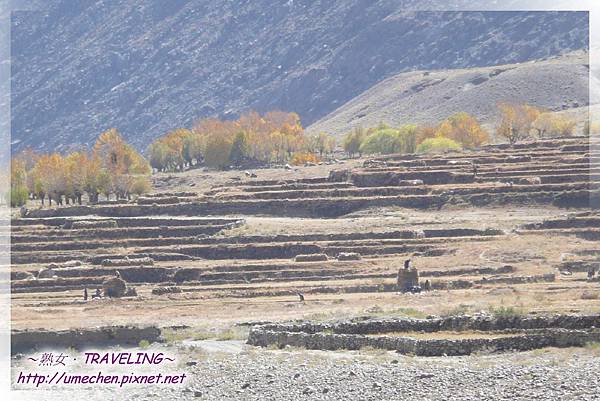 尼木大橋-橋畔借洗手間兼賞景 (10).jpg 尼木大橋-橋畔借洗手間兼賞景 (10).jpg