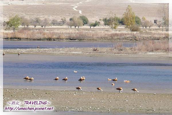 P1070677.jpg P1070677.jpg