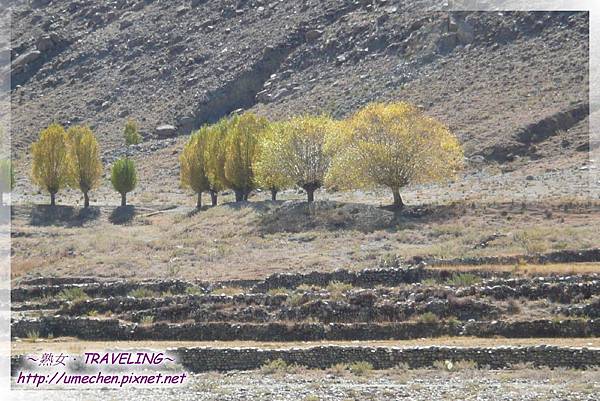 尼木大橋-橋畔借洗手間兼賞景 (6).jpg 尼木大橋-橋畔借洗手間兼賞景 (6).jpg