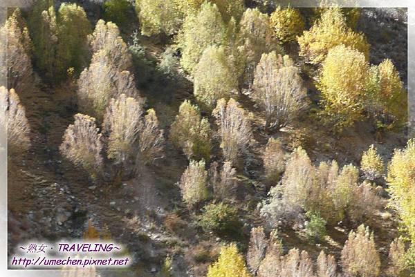 雅魯藏布江-日喀則至尼木之沿路風光 (37).jpg 雅魯藏布江-日喀則至尼木之沿路風光 (37).jpg