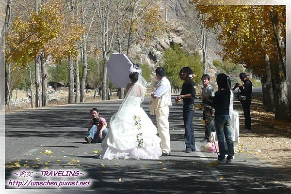 國道318-金色之秋.jpg 國道318-金色之秋.jpg