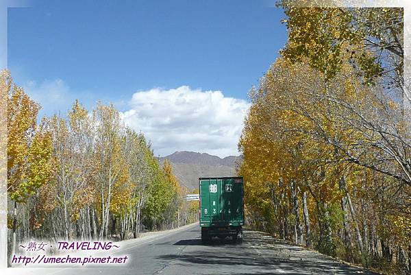 國道318-金色之秋 (1).jpg 國道318-金色之秋 (1).jpg