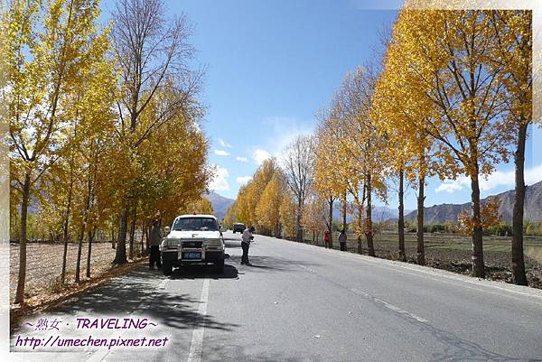 國道318-金色之秋 (14).jpg 國道318-金色之秋 (14).jpg