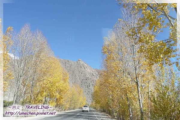 國道318-金色之秋 (21).jpg 國道318-金色之秋 (21).jpg