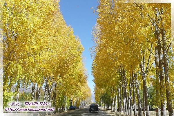 國道318-金色之秋 (46).jpg 國道318-金色之秋 (46).jpg