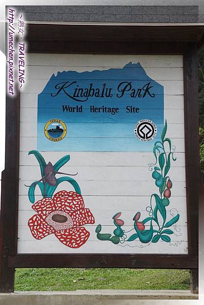 DSC05493.jpg DSC05493.jpg