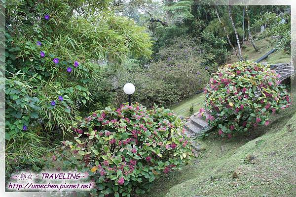 DSC05512.jpg DSC05512.jpg