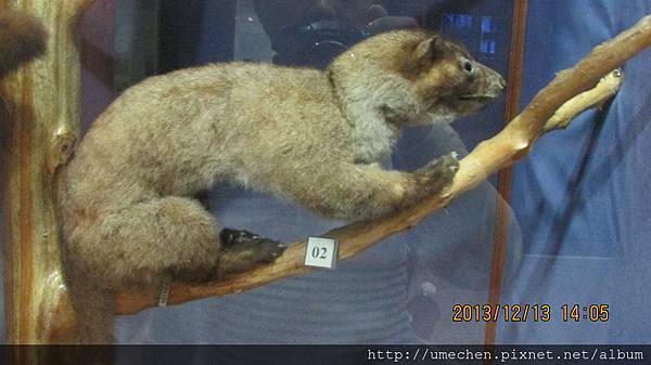 IMG_1649.JPG IMG_1649.JPG