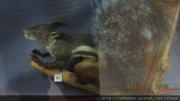 IMG_1650.JPG IMG_1650.JPG